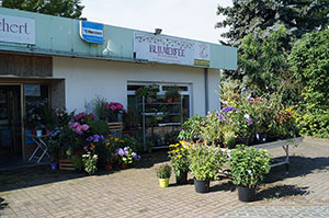 Blumen, Pflanzen Werder
