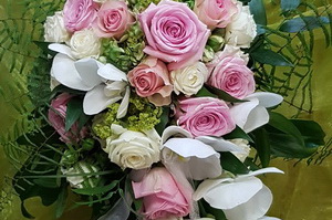 Blumen, Pflanzen Werder
