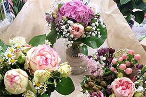 Blumen, Pflanzen Werder